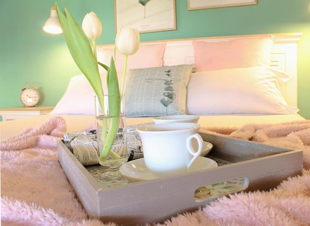 Accanto Al Centro B&B プラート エクステリア 写真